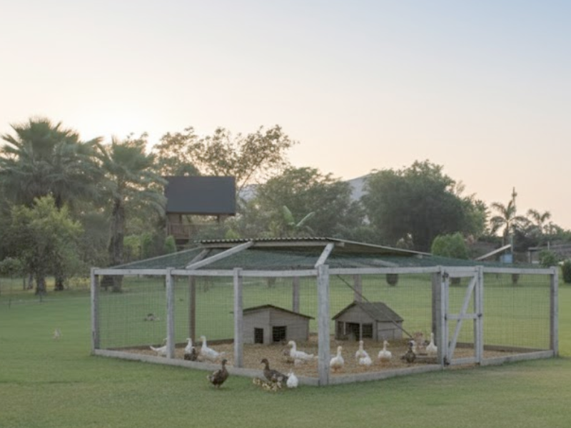 Green Vows Estate - Animal Shelter with Natural Wildlife